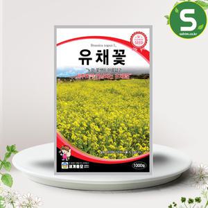 유채씨앗 20g 꽃씨앗 밀원식물 유채꽃 유채씨 야생화