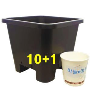 (10+1) 원예용플분 18cm 플분5호 2개 검정플분 플라스틱 화분 사각 포트