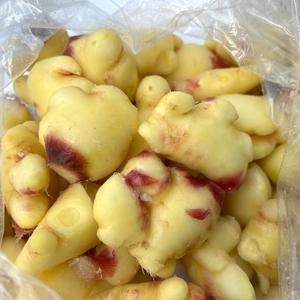 (특품) 국산 깐생강 손질 햇 세척생강 1kg / 500g