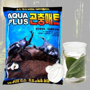 사슴벌레 장수풍뎅이 애벌레 바닥재 흙 먹이발효 톱밥