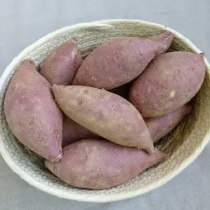 2025년산 해남 고구마 밤고구마 5kg (중상) 햇고구마 진율미