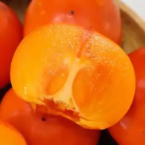 제철 청도반시 2.5kg 외 씨없는 홍시 대봉감 연시