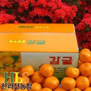 한라산농장 서귀포 귤 10KG 중대과 L-2L
