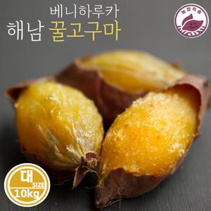 해남 황토 꿀 고구마_대 SIZE (10kg) 비세척/튀김용 요리용/베니하루카 황금 호박 꿀고구마 간식