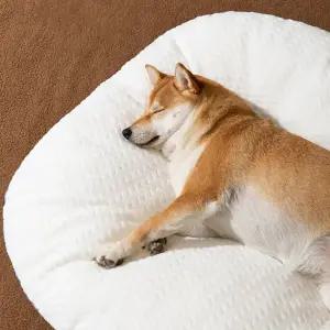 반려견 꿀잠 무중력 방석 강아지 쿠션 고양이 침대