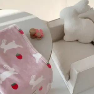프랑브아즈 겨울 밍크 극세사 블랭킷 담요 이불 베리 BNS