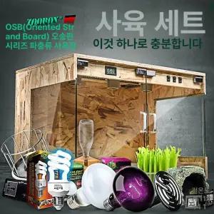 육지거북이 사육장 원목 자동 파충류 파노라마