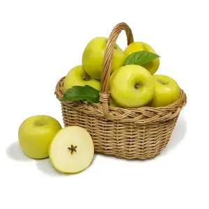 유명산지 시나노골드 황금사과 실속 3kg 대과(12과내)