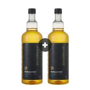 [내일도착][1+1]불스원 불스원샷 시그니처 500ml, 2개입