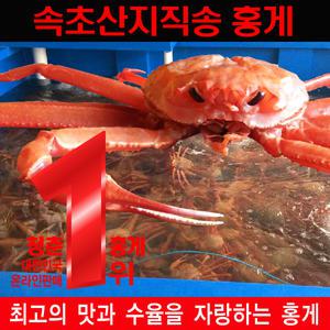 청춘홍게 속초홍게 고급 2kg 3kg