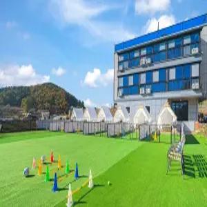 [경남/남해] 남해 댕댕이 애견 펜션 블루 (카페/해수욕장/낚시/편의점/매점/오션뷰/애견/풀빌라/가족/커플/온돌/개별바베큐/바베큐장/공용수영장(실외)/주차장/애견운동장/스파)