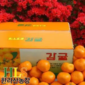 한라산농장 서귀포 귤 5KG 중대과 L-2L 첫수확