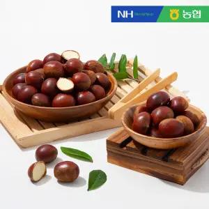 [농협] 속이 꽉찬 순창 햇 알밤(특품) 1kg / 꿀밤 / 맛밤 / 공주밤 / 정안밤 / 옥광밤