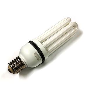 라이톤 절전형 형광램프 55w 주광색 ELC55EX-D/39