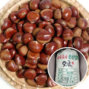 알밤 (대) 20kg 포대 무료배송 2025년 햇밤 산지직배송 국내산 충청남도 부여군 군밤용 밤 생밤 (칼집X) 쪽빛누리
