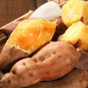 [후레쉬앤푸드]Fresh 해남 무안 황토 꿀밤고구마 베니하루카 한입 9.0kg+추가1kg