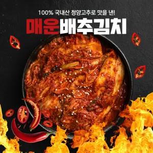 경자네 전라도 국내산 청양 실비 매운 배추 포기김치 5kg