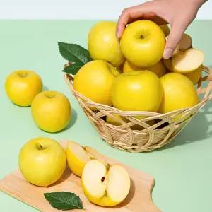 [더조은] 황금사과 시나노골드 가정용 5kg 22-24과