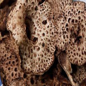 자연산 능이벗섯 탕 찌게 냉동 티벳 건강 능이 1kg