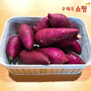 [우체국쇼핑] 구정마을 달콤한 햇고구마 밤고구마 10kg