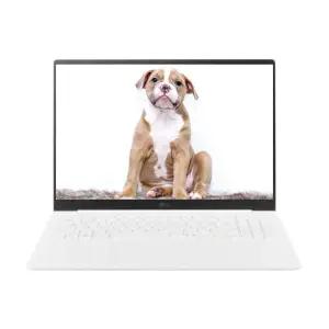 LG전자 LG그램 프로 16Z90TP-KA5WK SSD 1TB 교체