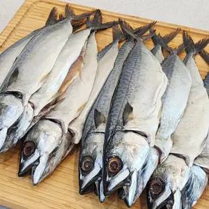 다대포 자반 고등어 10미(대) 3.1kg-3.7kg내외 진공포장