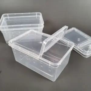 [골드스마일]도마뱀 사육장 소형 장수풍뎅이 크레스티드 게코