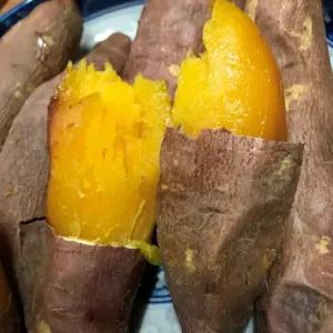 강화도 호박고구마 햇고구마 5kg (혼합)