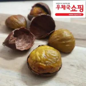 옥광밤 햇 알밤(이평밤) 중 1kg