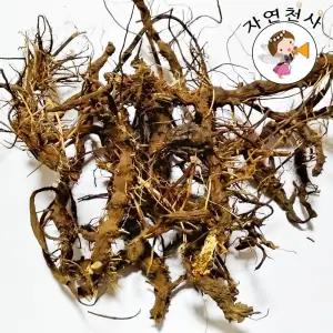 산 야생 오이풀뿌리100g 직접손질 자연건조 지유 오이풀 8026784