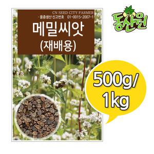 재배용 메밀씨앗 500g 1kg 메밀종자 관상용 꽃씨