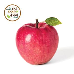 [바이파머스네이쳐]특등급 감홍 사과 시기별 최고품종 2주간