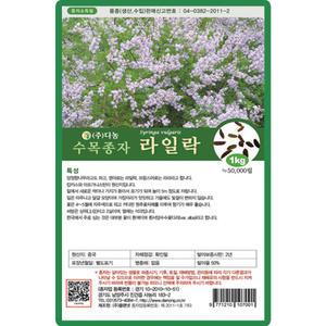 다농 라일락나무 씨앗 20g 라일락 양정향 나무 씨 수목 종자