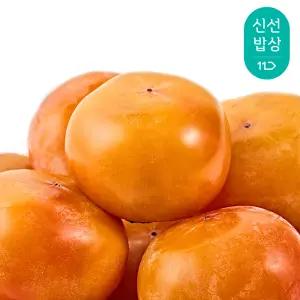 [최종가14,900원]경북 청도반시 2.5kg 16~18과 내외
