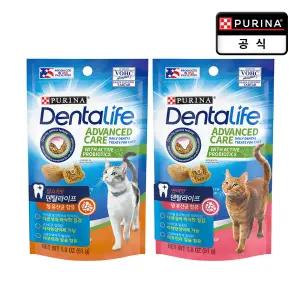 덴탈라이프 51g x 4개 2종 교차선택가능