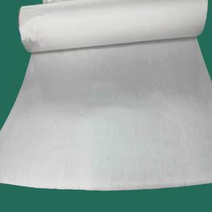 EPTFE PTFE 멤브레인 미세 다공성 필름 나노 스케일 부직포 원단 필터 1500mm 너비