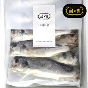 제주 백조기 특 10미 1.4kg 23-24cm(지퍼백 포장)