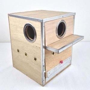 튼튼나무알통 앵무새알통 은신처 알통둥지 잉꼬 알통