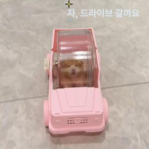햄스터자동차 쳇바퀴 햄스터 은신처 장난감 1개
