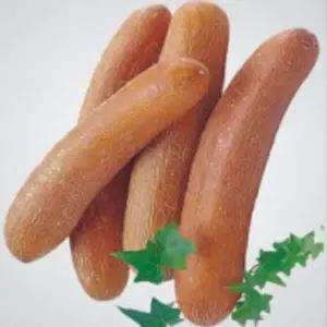 노각오이종자 씨앗 재래종채소종자 노각오이씨앗 50립오이씨