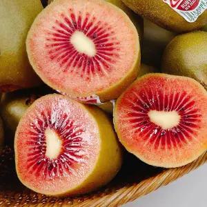 산지발송 국내산 고당도 프리미엄 레드키위 2kg 외 택1 루비키위 로얄과 20브릭스 이상