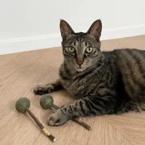 뚜또가또 캣잎 캣닢 사탕 고양이 스틱 2개입 (WD97781)