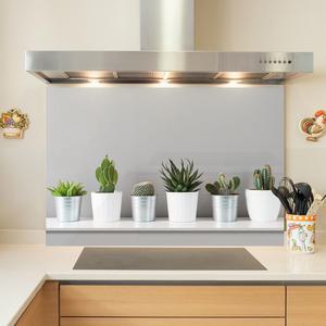 주방아트보드 금전운 재물운 풍수 행운 들어오는 그림 사진 액자 선인장정원