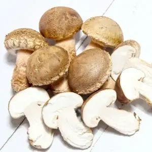 문경 송화고 고기버섯 2등급 500g 송화 송고 고송 고급 음식점용 버섯