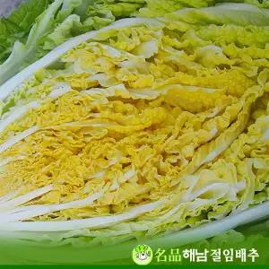 (해남직송)품종이다른 명품해남절임배추 20kg