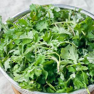 거문도쑥 냉동쑥 2kg(1팩)