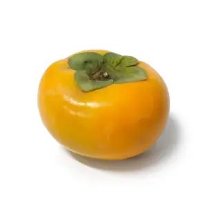 고당도 진영 창원 단감 10kg (50~60개)