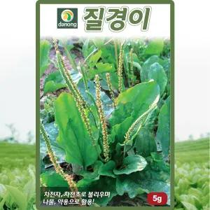 다농 질경이 씨앗 5g 질경이씨 산채 나물 종자