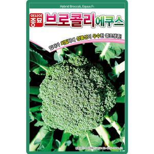아시아종묘 에쿠스 브로콜리 씨앗 100립 중조생종 브로콜리씨 종자