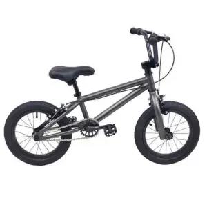 BMX 자전거 비엠엑스 티타늄 선데이 바이크 전문가